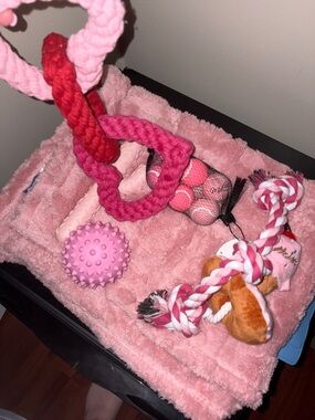 Dog toy bundle